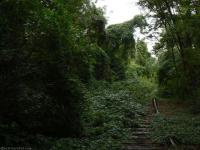 Abandoned railways - Berlin